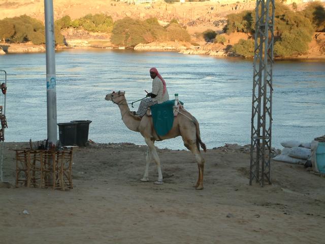DSCF0348.JPG